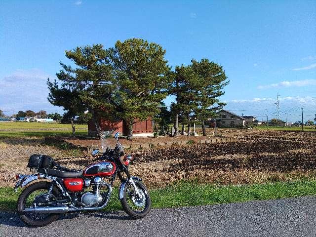 稲荷神社(拾壱軒)の参拝記録2