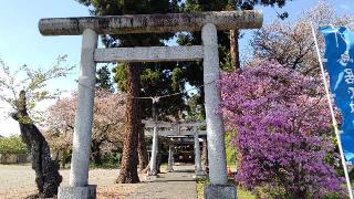 出雲神社の参拝記録(miyumikoさん)