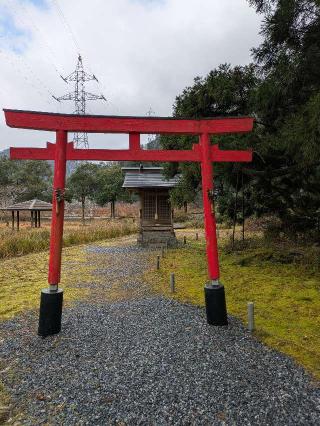 一本杉神社の参拝記録(nekoさん)