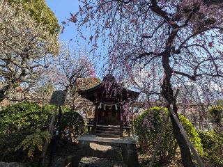 亀戸天神　紅梅殿の参拝記録(まーさんさん)