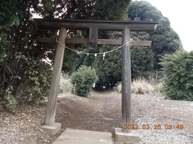 埼玉県さいたま市見沼区東宮下43-5裏 大六天神社の写真2