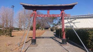 鷲宮神社の参拝記録(ロビンさん)