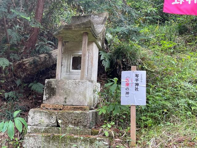 琴平神社の参拝記録1