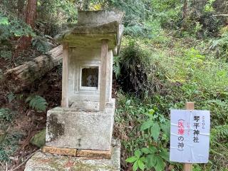琴平神社の参拝記録(智恵子さん)