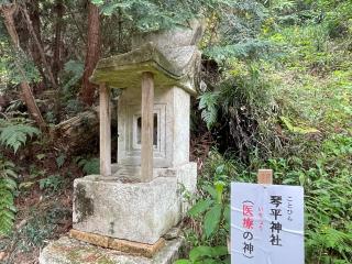 琴平神社の参拝記録(智恵子さん)