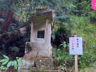 琴平神社の参拝記録(さくらもちさん)