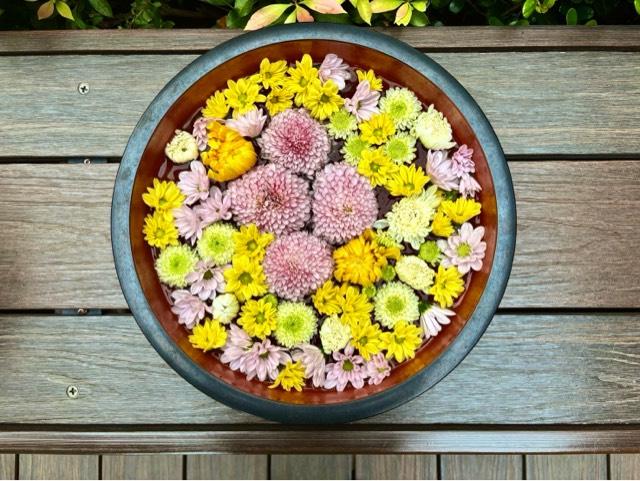 三縁山 宝珠院の参拝記録8