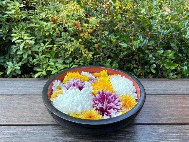 三縁山 宝珠院の参拝記録9