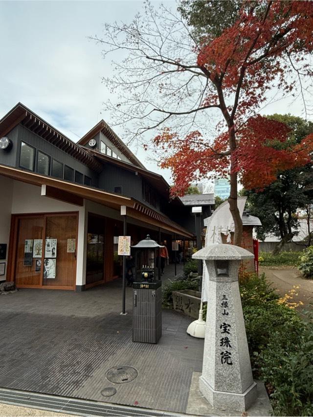 三縁山 宝珠院の参拝記録8