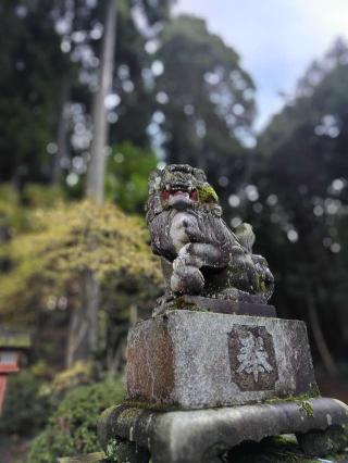 伊須流岐神社・熊野神社の参拝記録(おかやんさん)