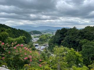 岡寺 三重宝塔の参拝記録(たつさん)