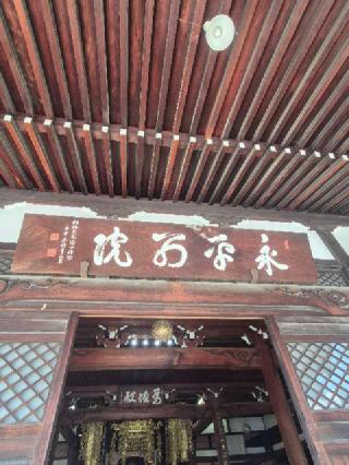 大本山 永平寺別院 長谷寺の参拝記録(ヒロ&ダディさん)