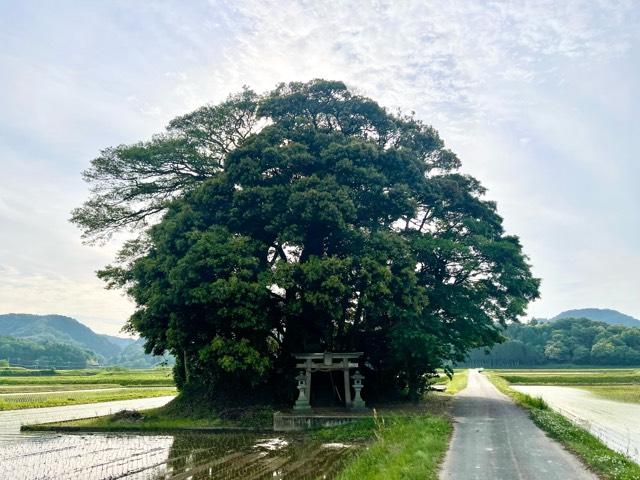 鳥取県西伯郡南部町原８０３ 小原神社（客神社）の写真1