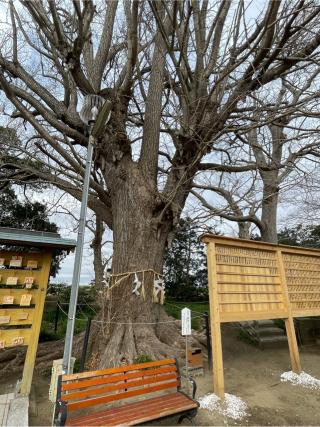 面足神社の参拝記録(ギャズさん)