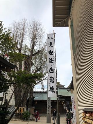 白龍権現社・児安社（櫛田神社）の参拝記録(チョウさん)