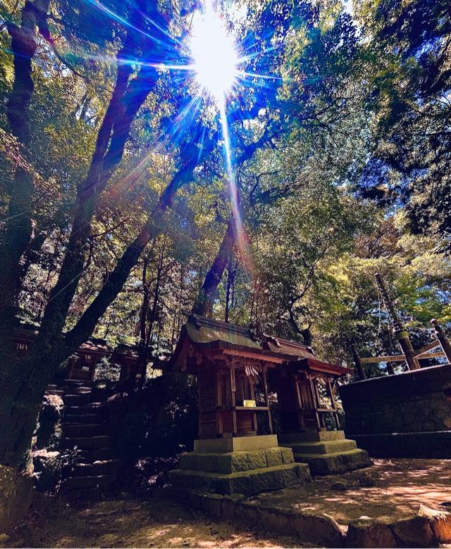 櫛田社・高良社・竈門社・素佐雄社・太夫社・宰相和泉社・御霊社（太宰府天満宮境内社）の参拝記録5