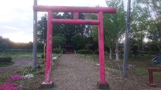 中根稲荷神社の参拝記録(のりさん)