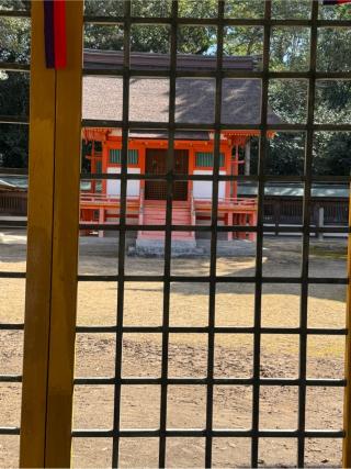 下津社(大山祇神社境内社)の参拝記録(こーちんさん)