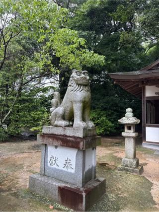 御鉾神社(大山祇神社境内社)の参拝記録(⛩️🎠🐢まめ🐢🎠⛩️さん)