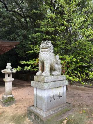 御鉾神社(大山祇神社境内社)の参拝記録(⛩️🎠🐢まめ🐢🎠⛩️さん)