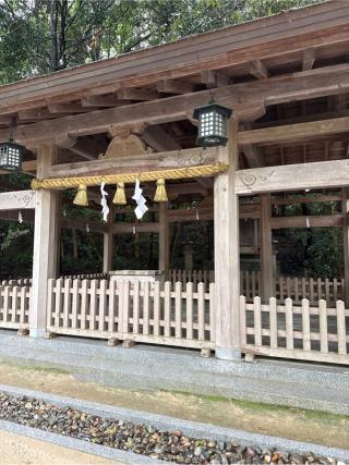 葛城神社、祓殿神社、伊予国総社(大山祇神社境内社)の参拝記録(⛩️🎠🐢まめ🐢🎠⛩️さん)