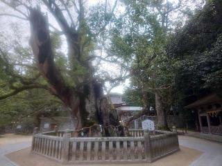 宇迦神社(大山祇神社)の参拝記録(kaiunさん)