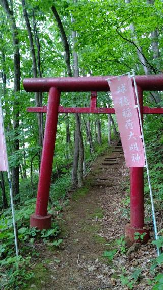 球徳稲荷大明神の参拝記録(ひろちゃんさん)
