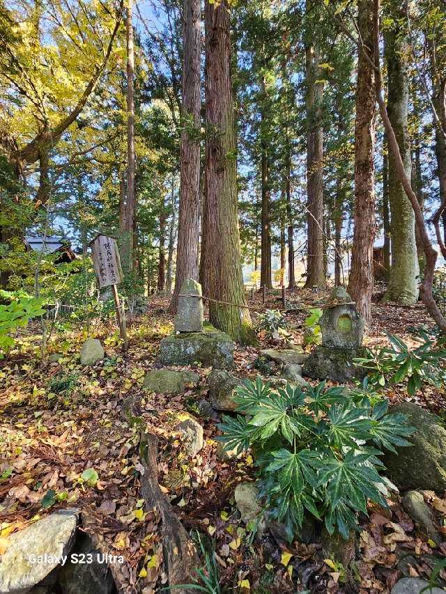 阿夫利社(山家神社境内社)の参拝記録2