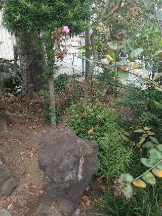 稲荷神社の参拝記録(zx14rさん)
