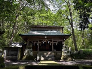 白鳥神社の参拝記録(いけさん)