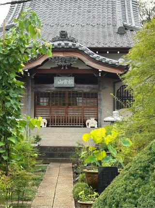 松宮山 三葉院 専心寺の参拝記録(gragrayasさん)