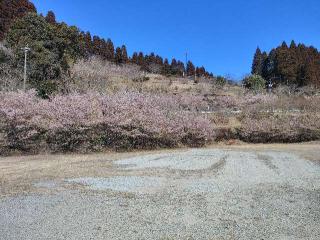 霧島神社の参拝記録(ruinさん)
