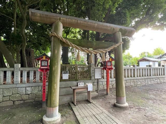 腰掛石神社（吉田神社境内）の参拝記録(智恵子さん)