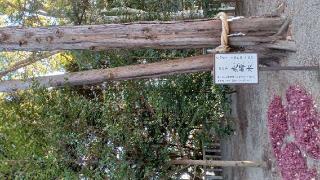 松尾神社　多賀神社　住吉神社　八幡神社（吉田神社末社）の参拝記録(SFUKUさん)