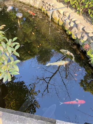 厳島神社の参拝記録(⛩️🐉🐢まめ🐢🐉⛩️さん)