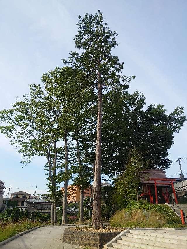 宮城県仙台市青葉区台原1-6-1 白水稲荷神社の写真1