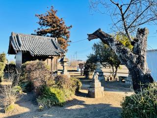 親野井神社の参拝記録(shikigami_hさん)