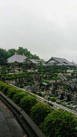 善養寺の参拝記録(sshimiさん)