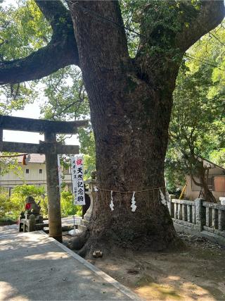 仁井田神社の参拝記録(ちぃさん)