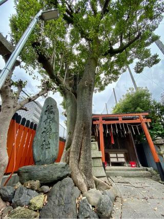 龍田稲荷神社の参拝記録(さくらさん)