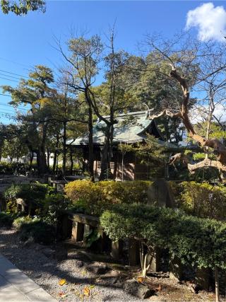 祓戸神社の参拝記録(⛩️🐍🐢まめ🐢🐍⛩️さん)