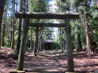 八木澤神社の参拝記録(MA-323さん)