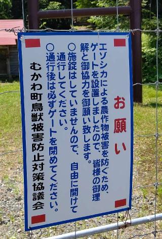 稲里神社の参拝記録(ひろちゃんさん)
