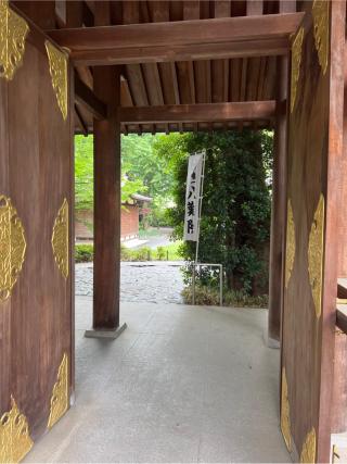 須賀社（阿佐ヶ谷神明宮摂社）の参拝記録(⛩️🐍🐢まめ🐢🐍⛩️さん)
