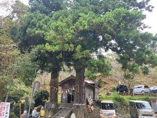 諏訪大明神の参拝記録(まっきーさん)