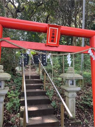 三峯神社の参拝記録(⛩️🎠🐢まめ🐢🎠⛩️さん)