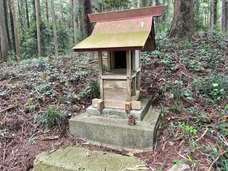 大杉神社の参拝記録(智恵子さん)