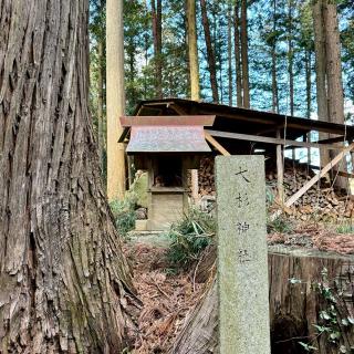 大杉神社の参拝記録(のぶさん)