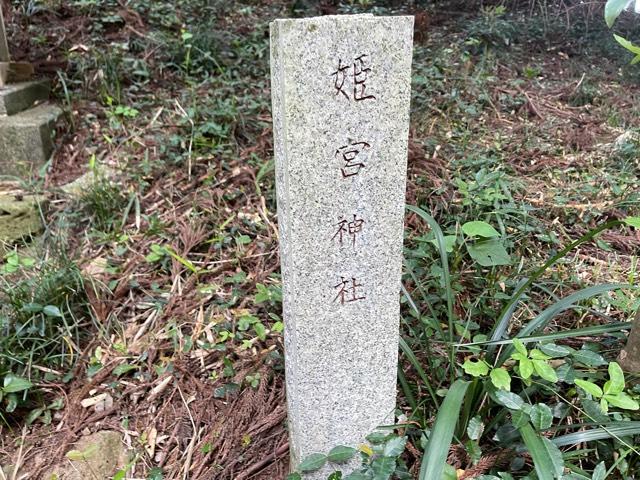 茨城県水戸市杉崎町1600番地 姫宮神社の写真3