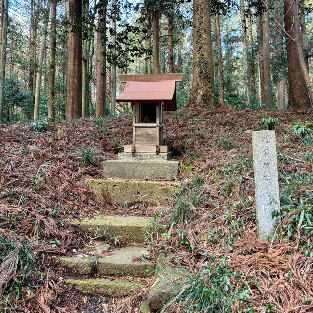 姫宮神社の参拝記録3